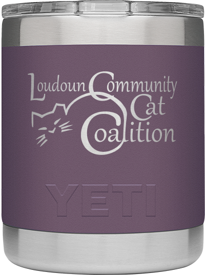 YETI rambler 10oz lowball PURPLE タンブラー Yeti Rambler 10 Oz Lowball Peak Purple | Artsy Abode